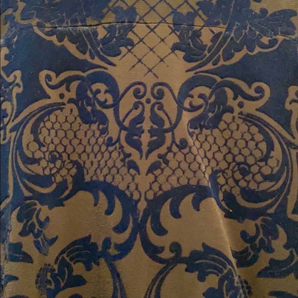 NWOTGorgeous Zara blue velvet and sheer